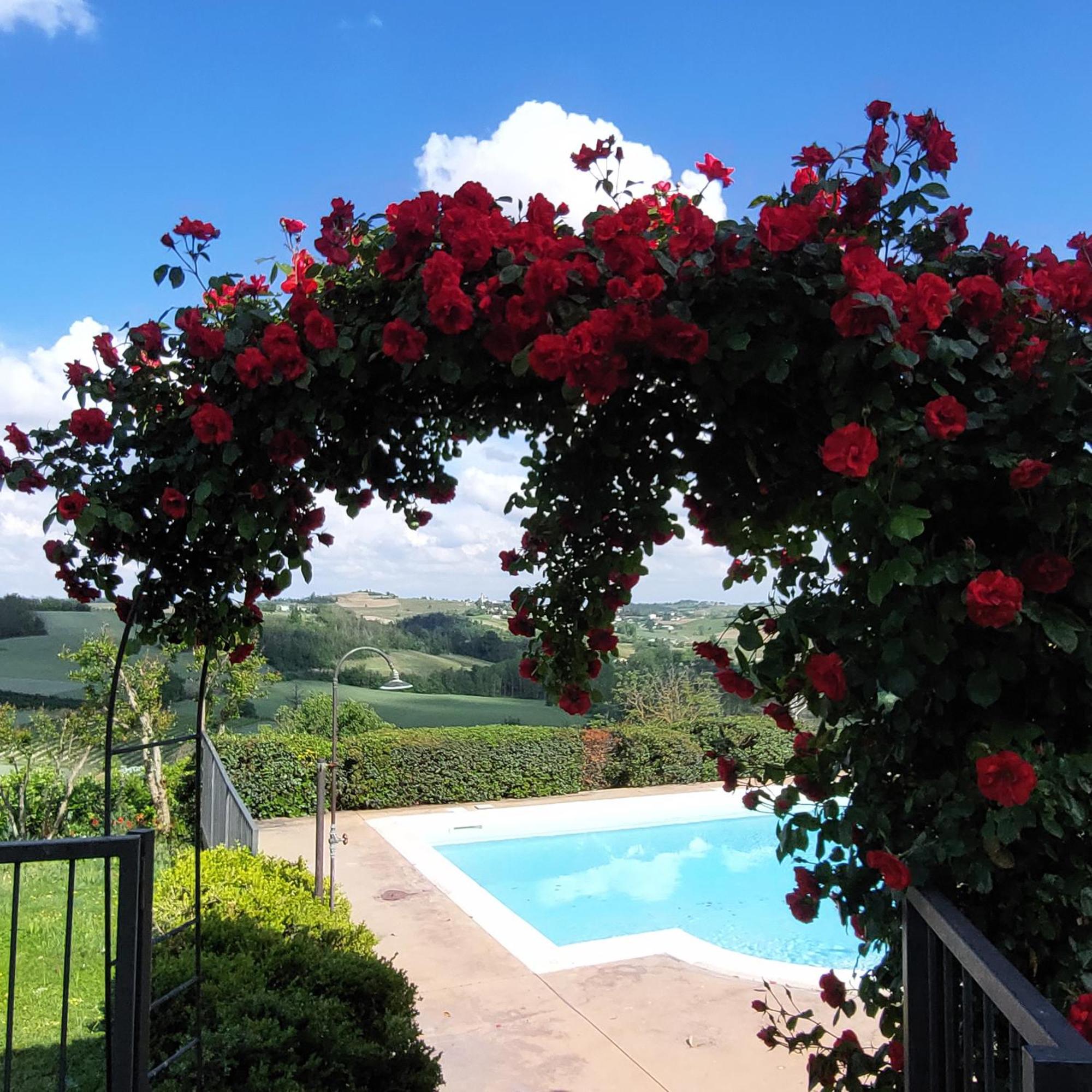 Casa Rovelli Bed and Breakfast Alfiano Natta Eksteriør billede
