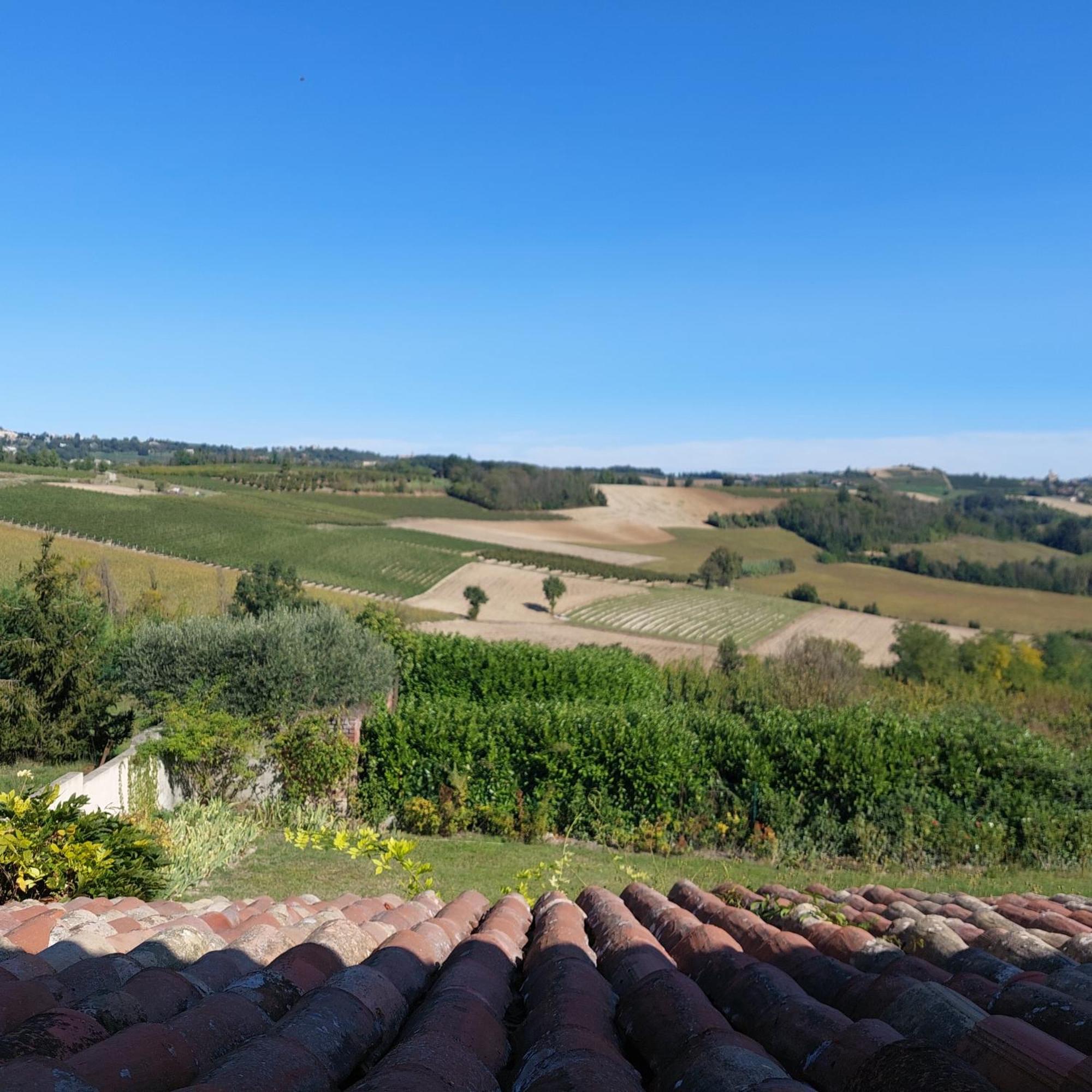 Casa Rovelli Bed and Breakfast Alfiano Natta Eksteriør billede